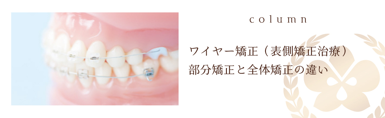 ワイヤー矯正（表側矯正治療） 部分矯正と全体矯正の違い 矯正コラム