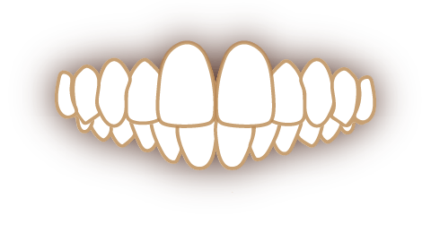 大阪の矯正歯科 淀屋橋矯正歯科 上顎前突（出っ歯）の歯並び